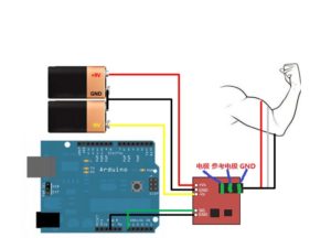 Sensor Muscular Ecg Emg V Ad Grupo Electrostore